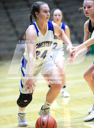 Homestead high school basketball roster hotsell