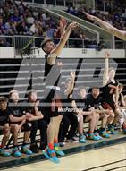Schedule Waverly Tigers Basketball Oh Maxpreps