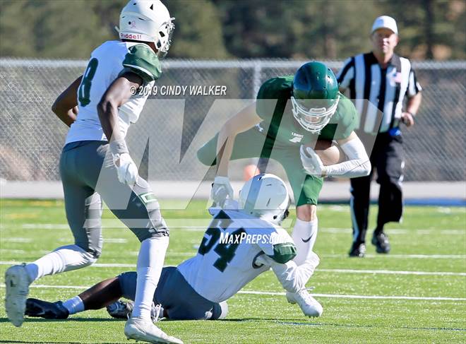 Photo 1 In The George Washington Conifer Photo Gallery 94