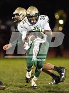 Schedule St Vincent St Mary Fighting Irish 2017 Football