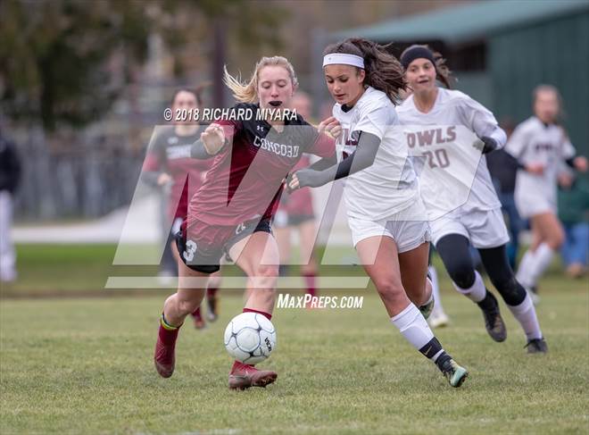 sport 247 soccer