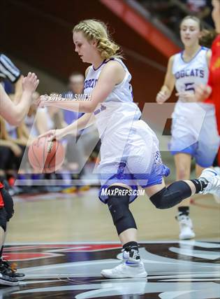 Halle Payne High School Girls Basketball Stats Bloomfield Bloomfield Nm Maxpreps